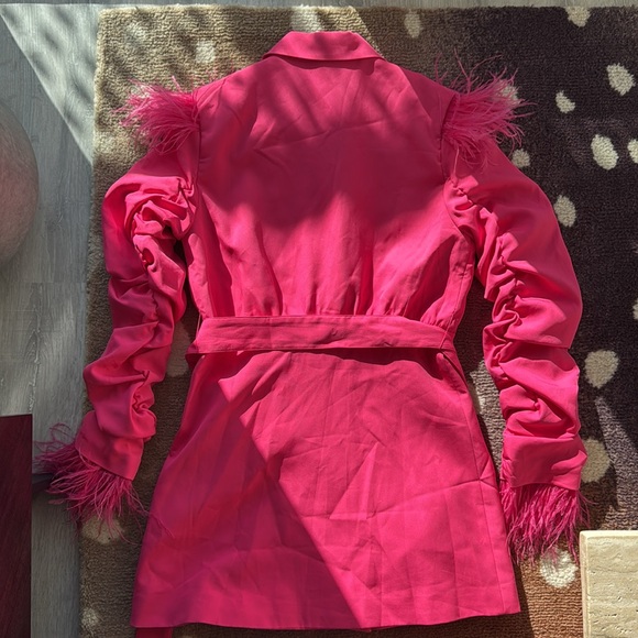Pink Blazer Dress with Feathers - Picture 10 of 10